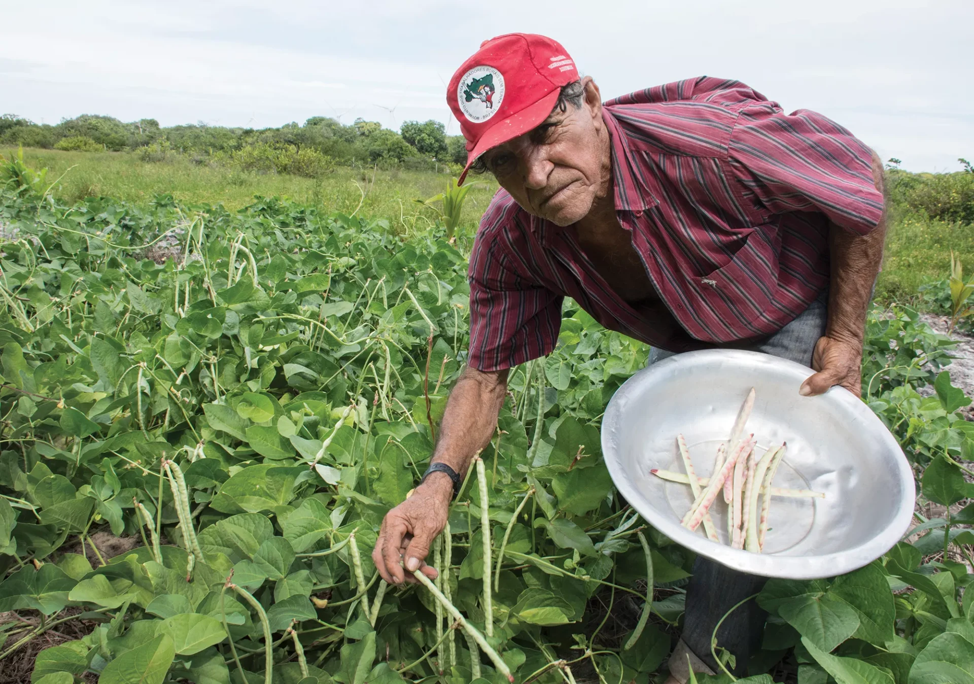 O MST defende um modelo produtivo mais sustentável, enraizado em práticas da agroecologia. Foto: divulgação