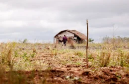 Após ataques da PM, povos Guarani-Kaiowá temem novas incursões no MS