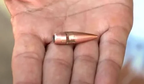 O Abismo e a Beleza