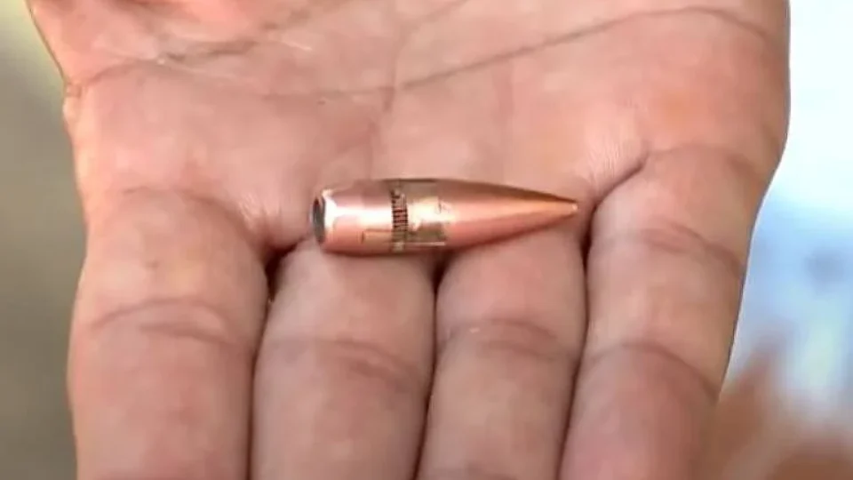 O Abismo e a Beleza