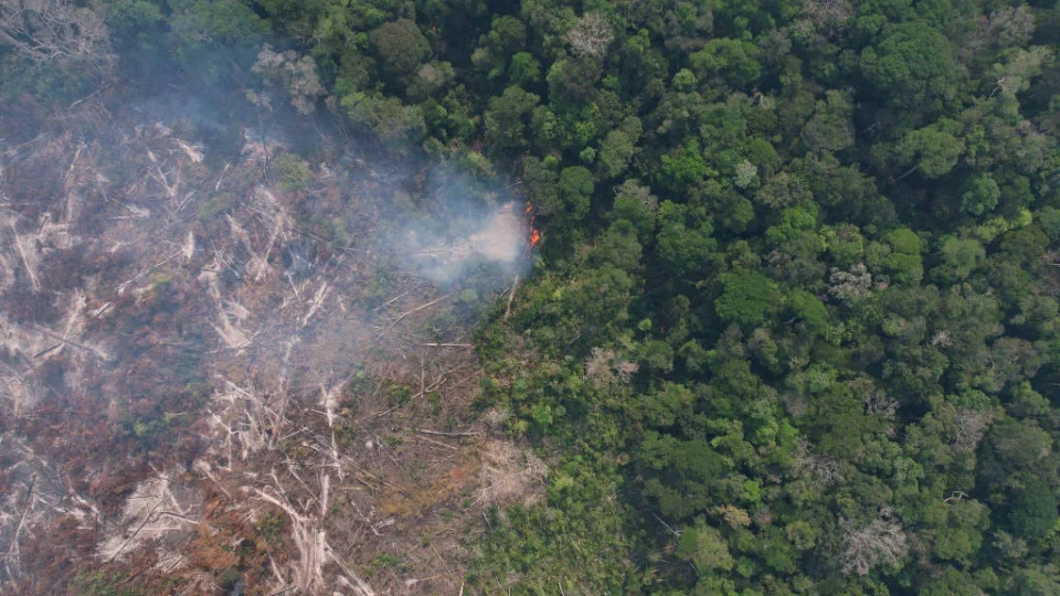 Após contrato na COP30, Justiça suspende projeto de créditos de carbono do Amazonas