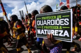 Ratificar Acordo de Escazú é afirmar democracia ambiental que Brasil promete ao mundo