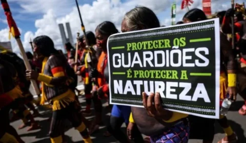 Ratificar Acordo de Escazú é afirmar democracia ambiental que Brasil promete ao mundo