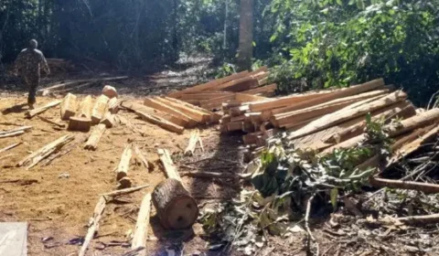 PMs são investigados por envolvimento na venda de madeira ilegal no Mato Grosso