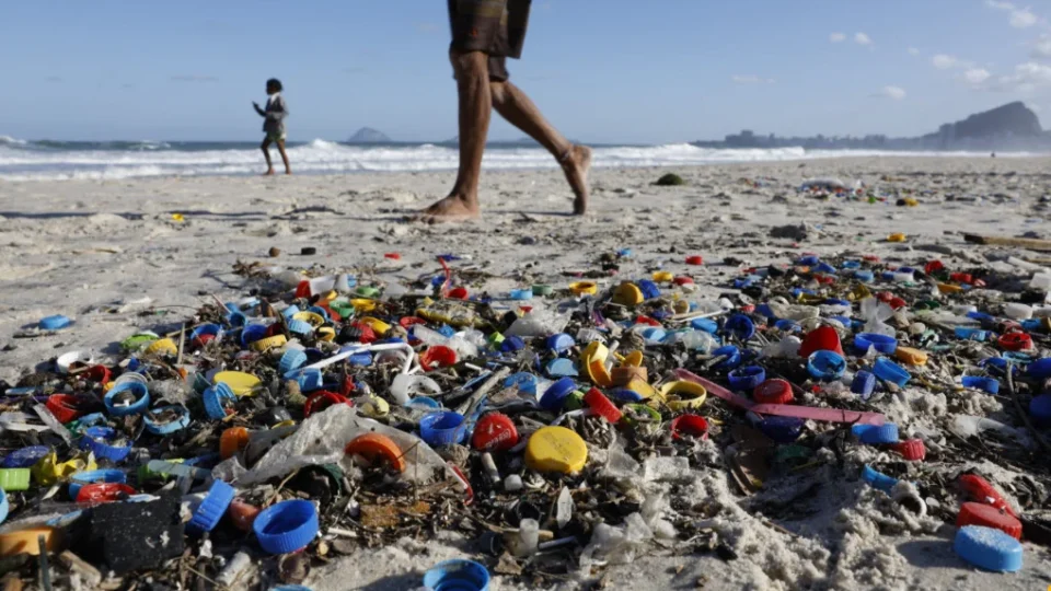 Foco da indústria de alimentos em reciclagem de embalagens não resolve ‘crise do plástico’