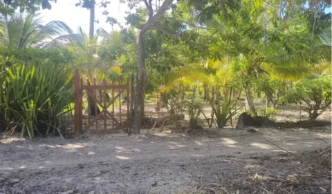 Dono da Globo deixa projeto, mas mega hotéis seguem ameaçando quilombolas na Bahia