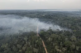 Desmatamento cai 9% na Amazônia e no Cerrado em 2025