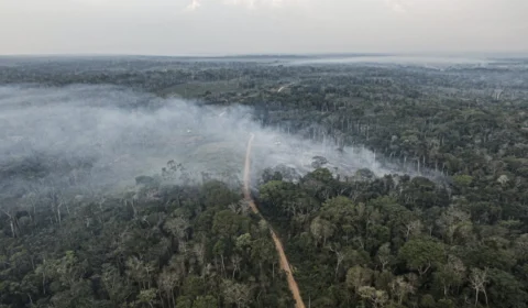 Desmatamento cai 9% na Amazônia e no Cerrado em 2025