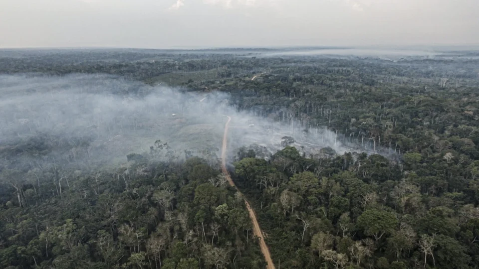 Desmatamento cai 9% na Amazônia e no Cerrado em 2025