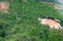 Violência no campo precisa entrar nos debates da COP30 sobre crise ambiental