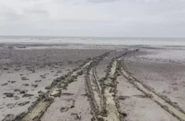 Faixa de lama interdita trecho da maior praia do Brasil e intriga cientistas no RS