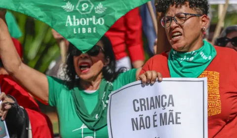 Governo omitiu aborto de normas e trabalhou contra expansão de direitos