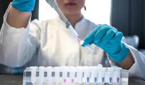 Brasil tem 17 cientistas em lista dos mais citados do mundo, 1 a mais do que em 2024