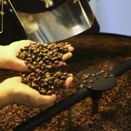 Café acumula maior queda de preços no Plano Real após subir mais de 80%, diz IBGE
