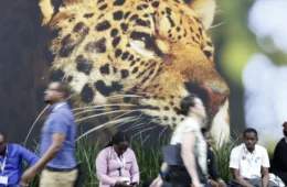 Entre a vitalidade de Belém e os impasses nas negociações: o legado da COP30