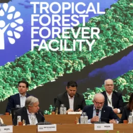Holanda anuncia US$ 500 milhões em fundo de florestas um dia após reeleição de Lula