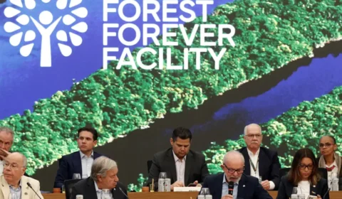 Fundo para florestas tropicais atinge aporte de US$ 5,5 bilhões