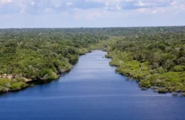 Pantanal e Amazônia tiveram em 2024 aquecimento superior a 1,5ºC