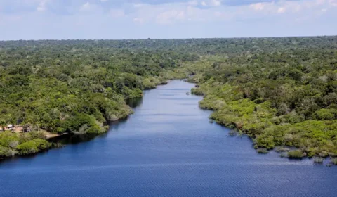 Pantanal e Amazônia tiveram em 2024 aquecimento superior a 1,5ºC