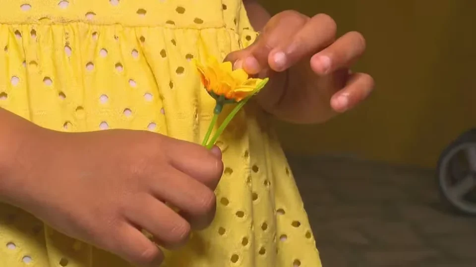 Uma flor amarela