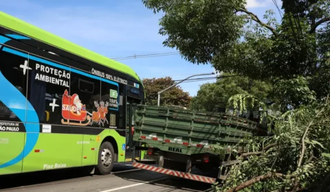 Ventos chegam a 98 km/h em São Paulo e deixam mais de 2 milhões sem luz