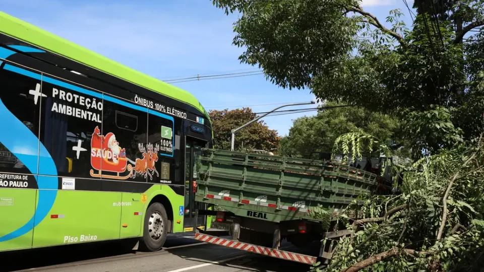 Ventos chegam a 98 km/h em São Paulo e deixam mais de 2 milhões sem luz