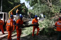 Após ventania, São Paulo tem 1,5 milhão de clientes sem energia