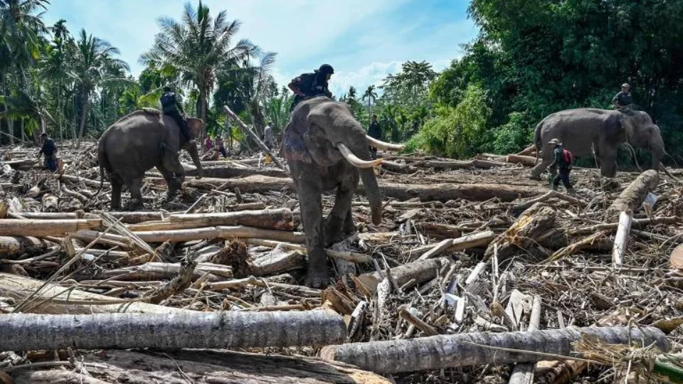 Economia verde pode render US$ 20 trilhões anuais em 2070 e salvar milhões, diz ONU