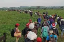 Famílias de acampamento no Pará vivem risco de despejo violento às vésperas do Natal