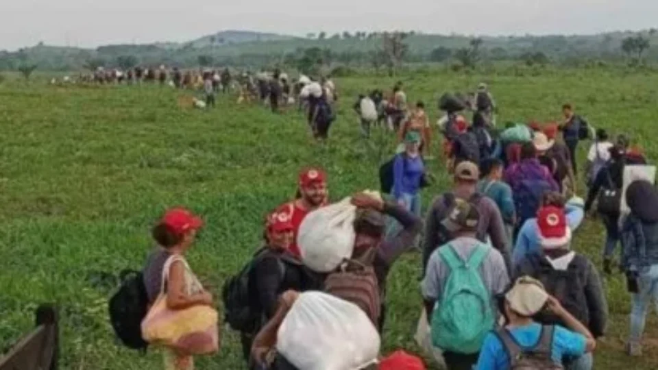 Famílias de acampamento no Pará vivem risco de despejo violento às vésperas do Natal