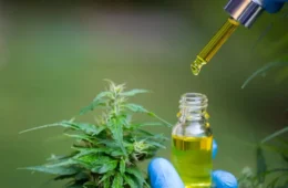 Estado enquadra tratamento com cannabis para epilepsia infantil como narcotráfico em SC