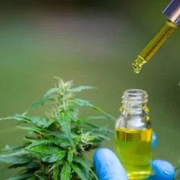 Estado enquadra tratamento com cannabis para epilepsia infantil como narcotráfico em SC