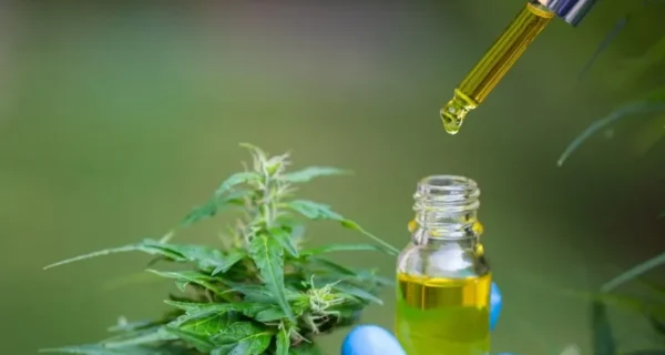 Estado enquadra tratamento com cannabis para epilepsia infantil como narcotráfico em SC