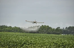 Ministério da Agricultura tenta remover menção a agrotóxicos do Plano Clima
