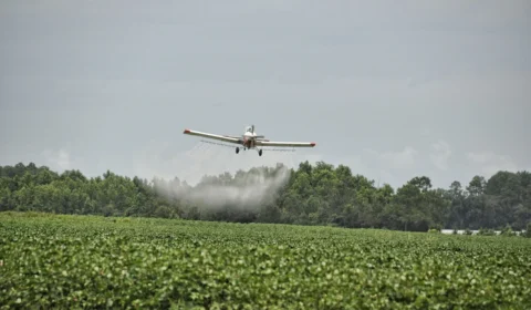 Brasil registra novo recorde na liberação de agrotóxicos em 2025