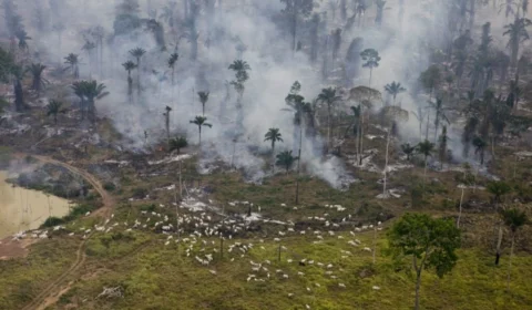 Área na Amazônia equivalente a 3 países europeus vira ‘terra de ninguém’
