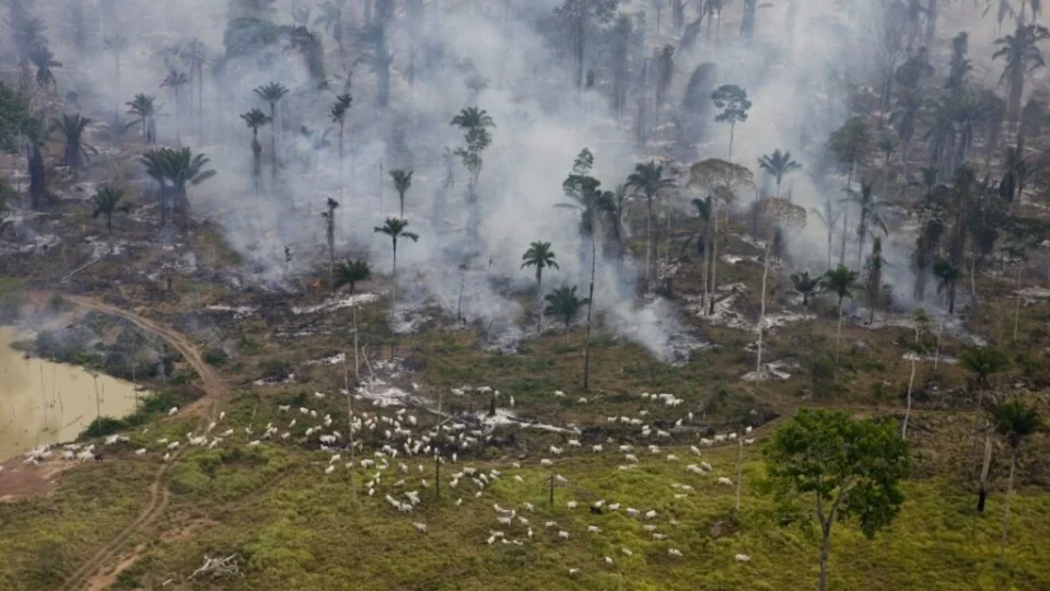 Área na Amazônia equivalente a 3 países europeus vira ‘terra de ninguém’