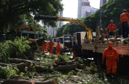 Dois dias após ciclone, São Paulo ainda tem mais de 800 mil imóveis sem energia