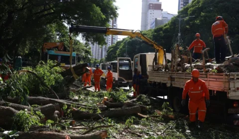 Dois dias após ciclone, São Paulo ainda tem mais de 800 mil imóveis sem energia