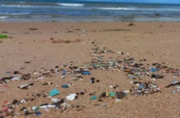 Águas da Bahia e do ES têm a maior poluição por microplásticos do litoral brasileiro