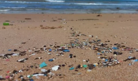 Águas da Bahia e do ES têm a maior poluição por microplásticos do litoral brasileiro