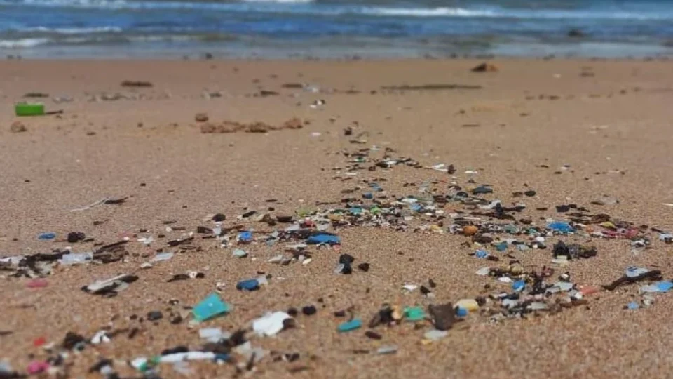 Águas da Bahia e do ES têm a maior poluição por microplásticos do litoral brasileiro