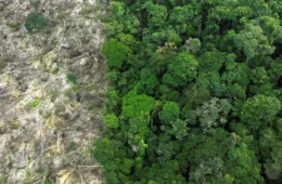 Câmara ameaça 555 mil hectares de áreas protegidas em nova ofensiva antiambiental