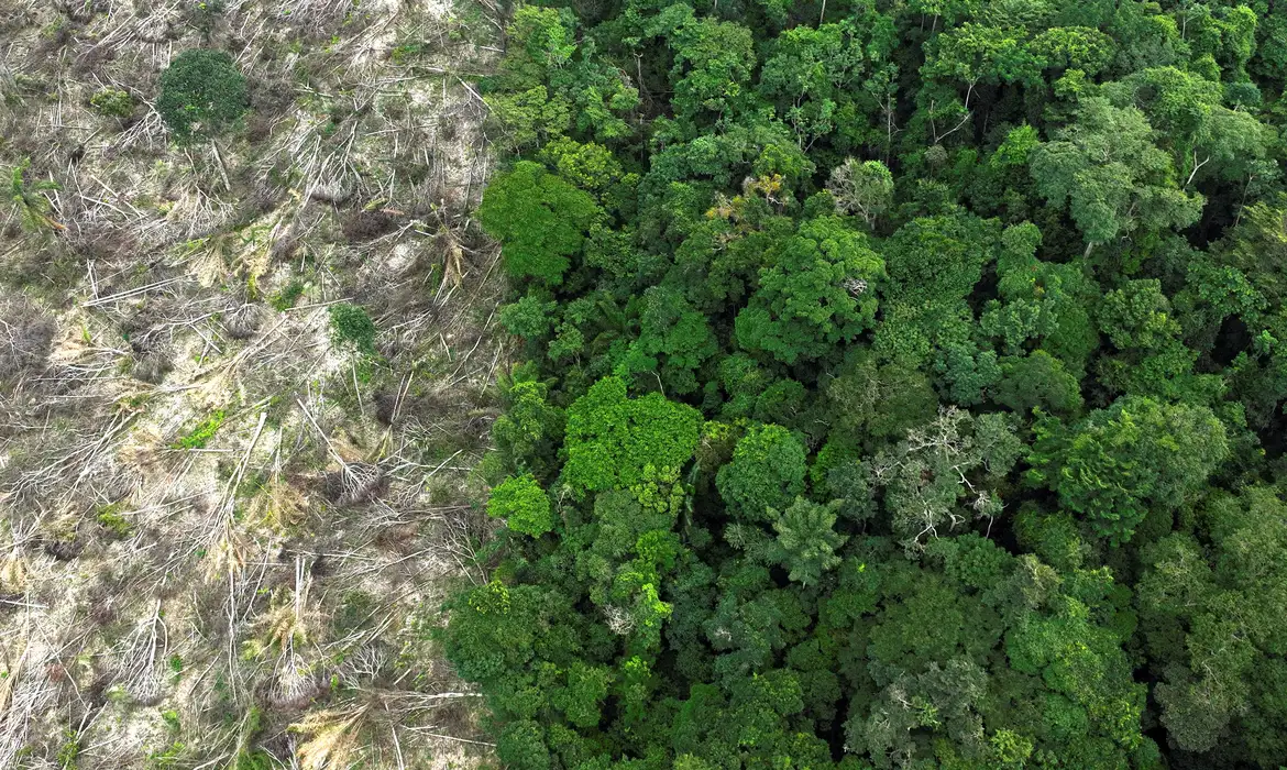 Desmatamento cai 9% na Amazônia e no Cerrado em 2025
