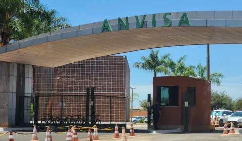 Anvisa manda recolher quatro lotes de panetones com fungo