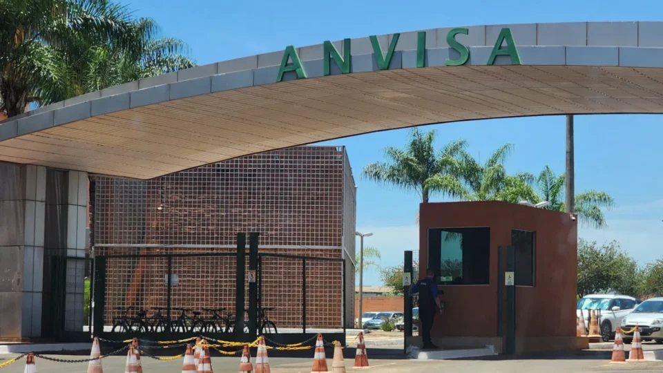 Anvisa manda recolher quatro lotes de panetones com fungo