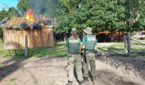Brasil dobra o número de assassinatos no campo em 2025