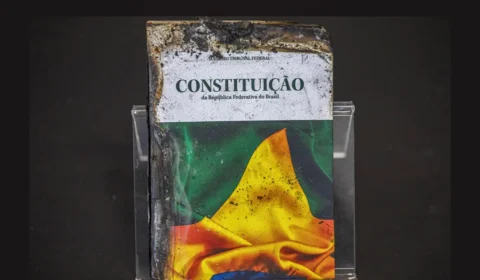 Sociedade civil pede ao Senado rigor na análise do PL da Dosimetria