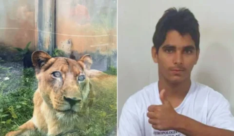Jovem morto em zoo tinha transtornos mentais e queria cuidar de leões na África, diz conselheira tutelar