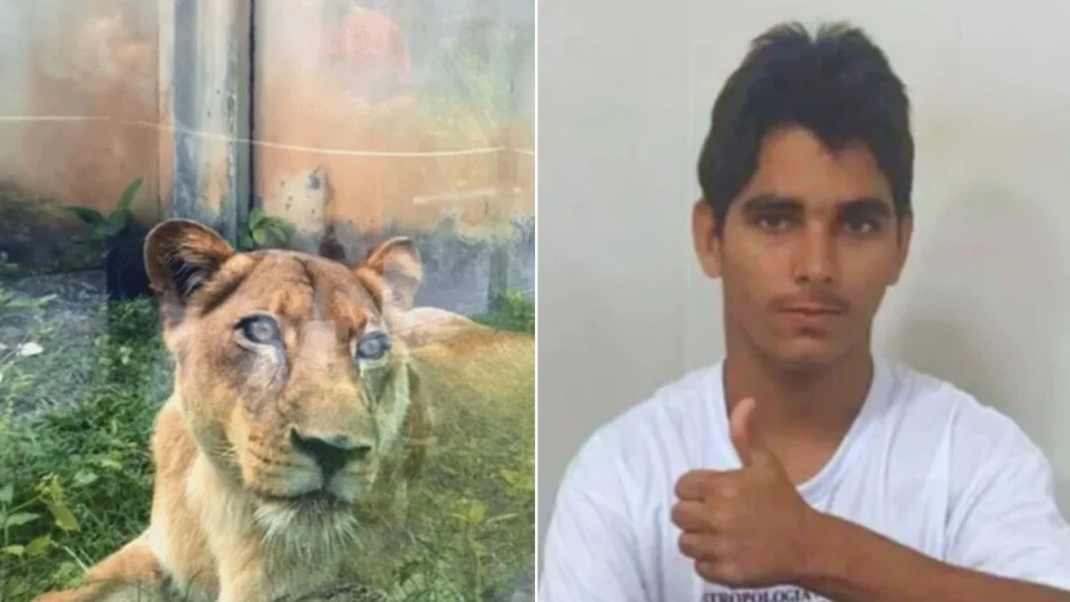 Jovem morto em zoo tinha transtornos mentais e queria cuidar de leões na África, diz conselheira tutelar